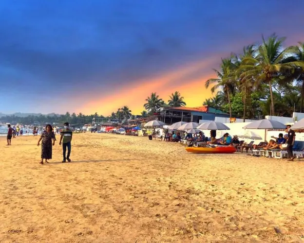 Best rental services goa Anjuna beach