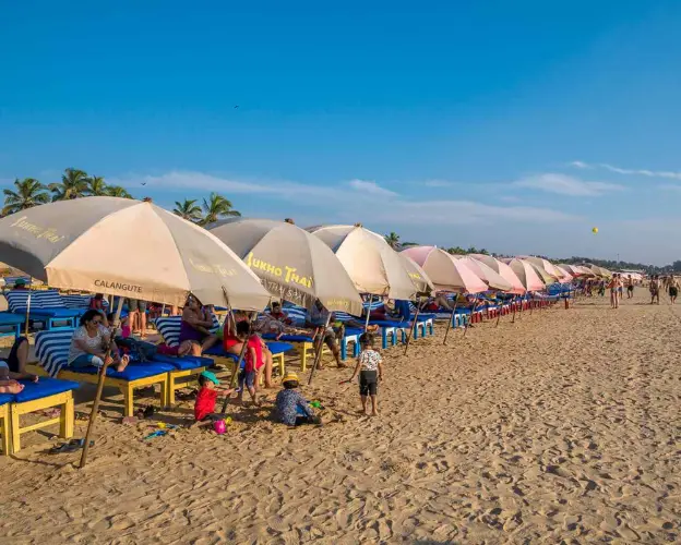Best rental services goa Goa Baga Beach