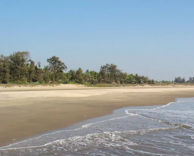 Best rental services goa Morjim Beach