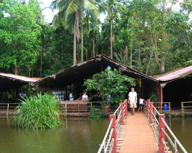 Best rental services goa tropical plantation