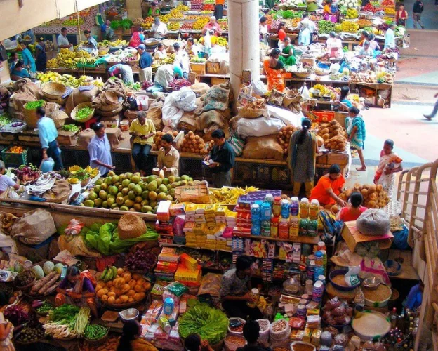 Best rental services goa panjim market